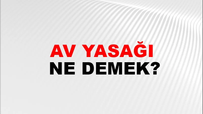 Av Yasağı Av Yasağı