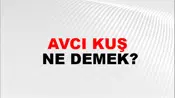 Avcı Kuş
