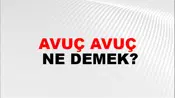 Avuç Avuç