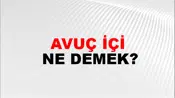 Avuç İçi