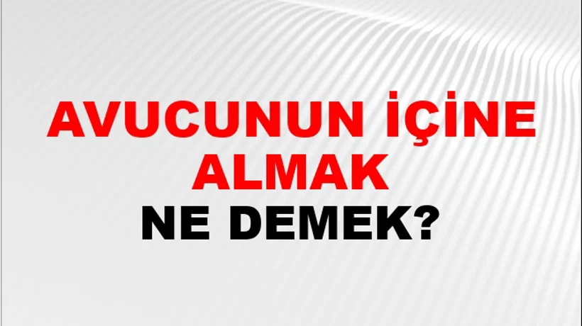 Avucunun İçine Almak Avucunun İçine Almak