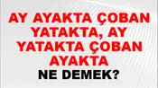 Ay Ayakta Çoban Yatakta, Ay Yatakta Çoban Ayakta