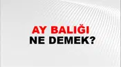 Ay Balığı