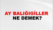 Ay Balığıgiller