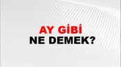 Ay Gibi