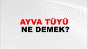 Ayva Tüyü