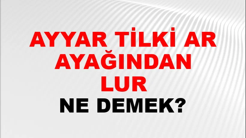 Ayyar Tilki Art Ayağından Tutulur Ayyar Tilki Art Ayağından Tutulur