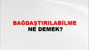 Bağdaştırılabilme