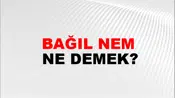 Bağıl Nem
