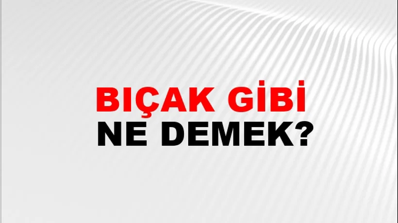 Bıçak Gibi Bıçak Gibi