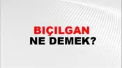 Bıçılgan