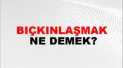 Bıçkınlaşmak
