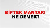 Biftek Mantarı
