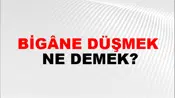 Bigâne Düşmek