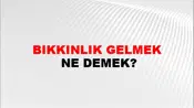 Bıkkınlık Gelmek