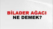 Bilader Ağacı