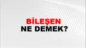Bileşen