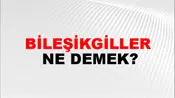 Bileşikgiller