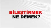 Bileştirmek