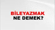 Bileyazmak