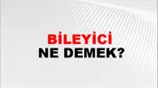 Bileyici