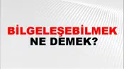 Bilgeleşebilmek