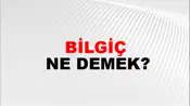 Bilgiç