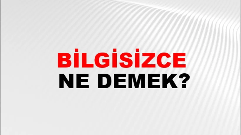 Bilgisizce Bilgisizce