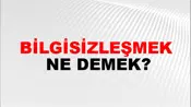 Bilgisizleşmek