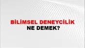 Bilimsel Deneycilik