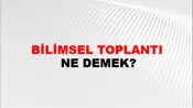 Bilimsel Toplantı