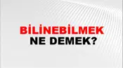 Bilinebilmek
