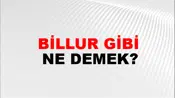 Billur Gibi