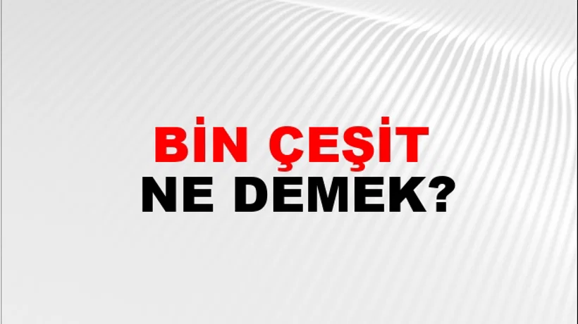 Bin Çeşit Bin Çeşit