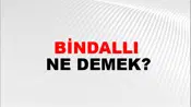 Bindallı