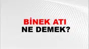 Binek Atı