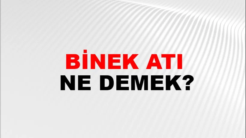 Binek Atı Binek Atı