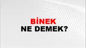 Binek