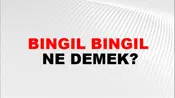 Bıngıl Bıngıl