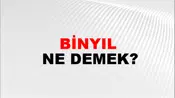 Binyıl