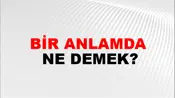 Bir Anlamda