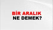 Bir Aralık