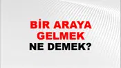 Bir Araya Gelmek