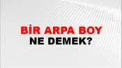 Bir Arpa Boyu (Gitmek veya yol almak)