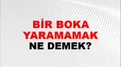 Bir Boka Yaramamak