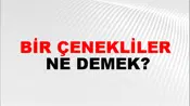 Bir Çenekliler
