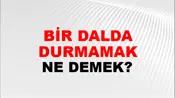 Bir Dalda Durmamak