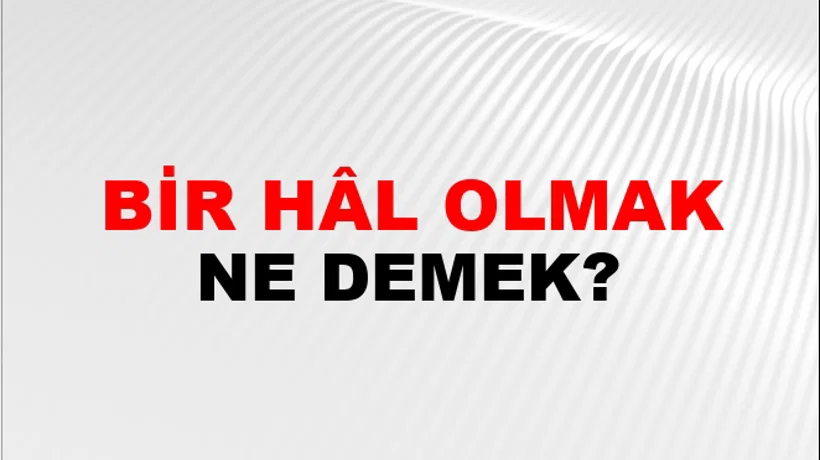 Bir Hâl Olmak Bir Hâl Olmak