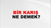 Bir Karış