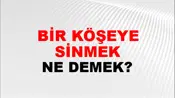 Bir Köşeye Sinmek